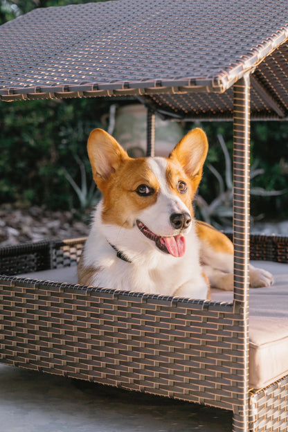 Huntley Pet Rattan Wicker Indoor Outdoor Cabana Raised Pet Bed - Tampa Home & Garden Store