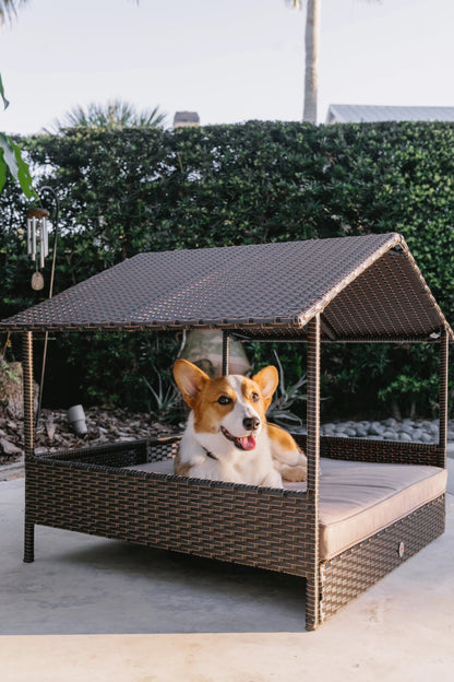 Huntley Pet Rattan Wicker Indoor Outdoor Cabana Raised Pet Bed - Tampa Home & Garden Store