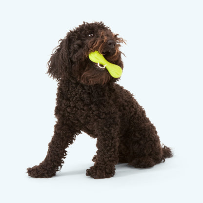 Hurley Indestructible Chew Bone for Tough Chewers