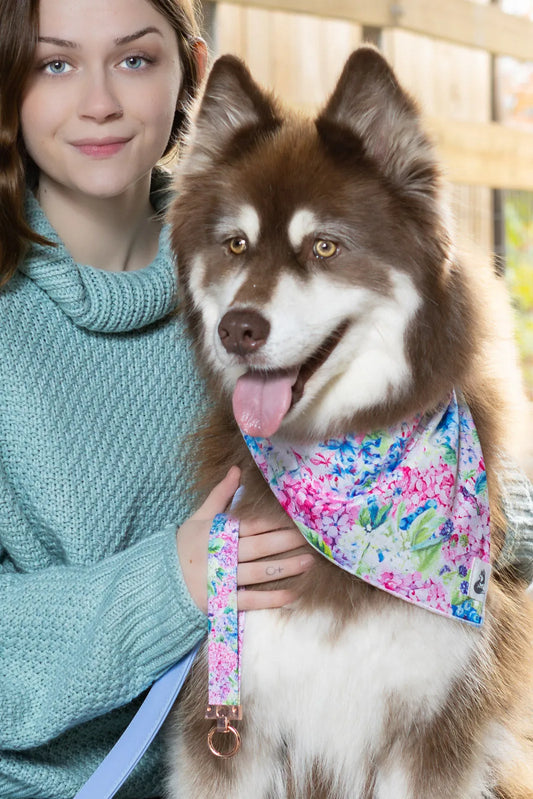 Hydrangea Haven Dog Bandana & Matching Keychain - Tampa Home & Garden Store