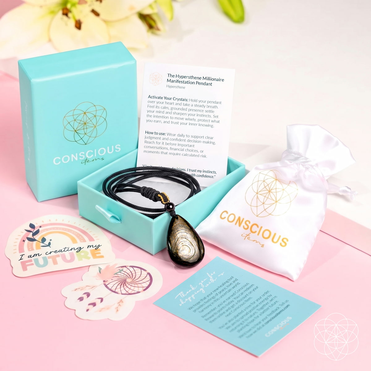 Hypersthene Millionaire Pendant necklace with teardrop stone on black cord Conscious Items box on Tampa Home & Garden Store