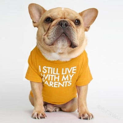 I Still Live With My Parents T-Shirt - Tampa Home & Garden Store