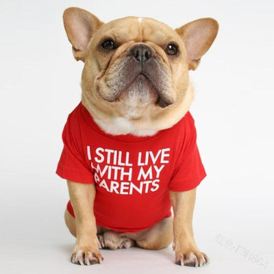 I Still Live With My Parents T-Shirt - Tampa Home & Garden Store