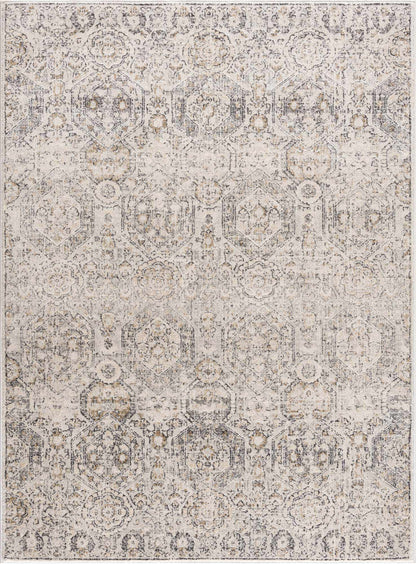 Parkerfield Area Rug by Boutique Rugs in distressed beige-gray medallion pattern on Tampa Home & Garden Store