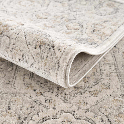 Parkerfield Area Rug in soft beige-gray with a subtle distressed pattern on Tampa Home & Garden Store
