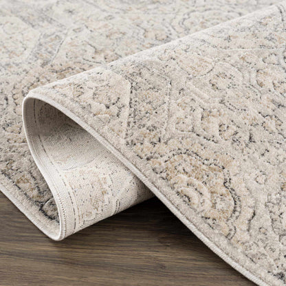 Parkerfield Area Rug by Boutique Rugs in beige-gray with a subtle medallion pattern on Tampa Home & Garden Store