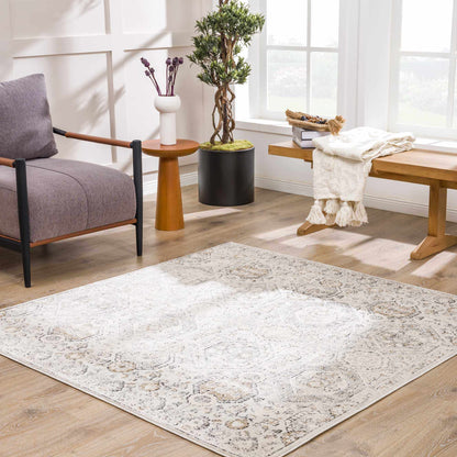 Parkerfield Area Rug by Boutique Rugs in ivory gray distressed in a bright living space on Tampa Home & Garden Store