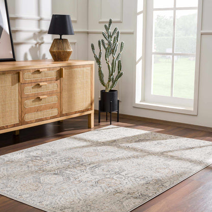 Parkerfield Area Rug by Boutique Rugs in neutral beige and gray with subtle pattern on Tampa Home & Garden Store