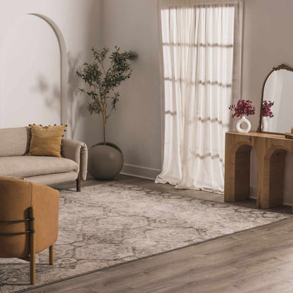 Minoa Area Rug by Boutique Rugs, muted gray-beige oriental pattern in living room on Tampa Home & Garden Store