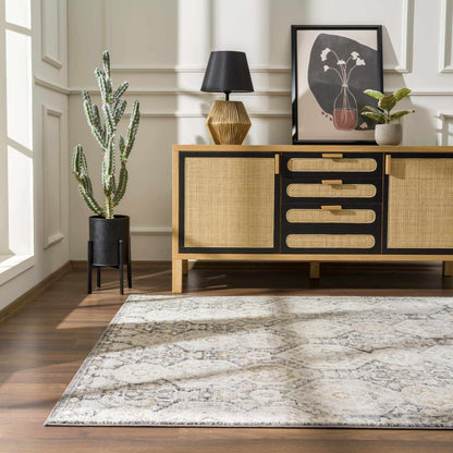 Minoa Area Rug by Boutique Rugs, gray ivory abstract pattern on Tampa Home & Garden Store