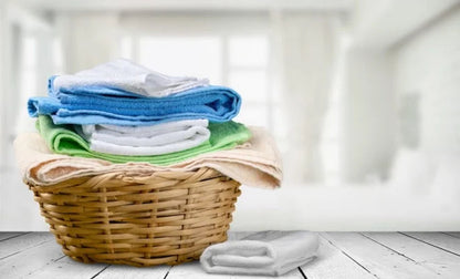 IGREEN PRO Laundry Detergent Pods | 35 Loads - Tampa Home & Garden Store