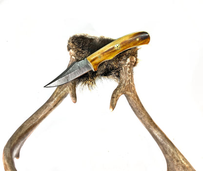 Damascus skinning knife with burnt bone handle and brass pin Titan International K brand on Tampa Home & Garden Store
