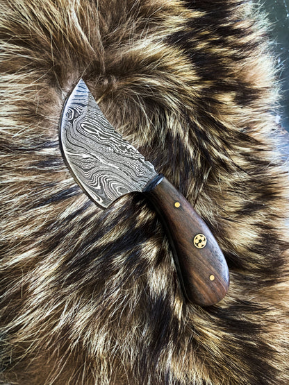 TD-090 Titan International K hunting knife with Damascus-pattern blade and wood handle on fur on Tampa Home & Garden Store