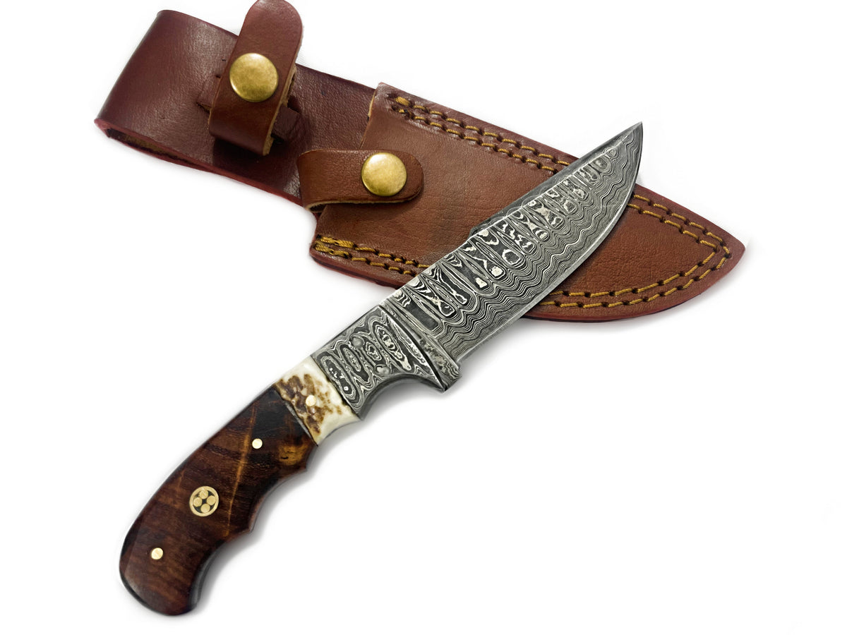 Damascus fixed-blade hunting knife TD-159 with walnut and stag horn handle, brown leather sheath on Tampa Home & Garden Store