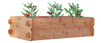 Timberlane Gardens cedar raised bed kit with red berries on Tampa Home & Garden Store