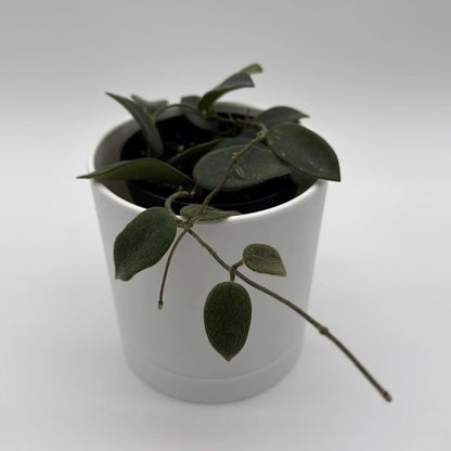 - image on Tampa Home & Garden Store