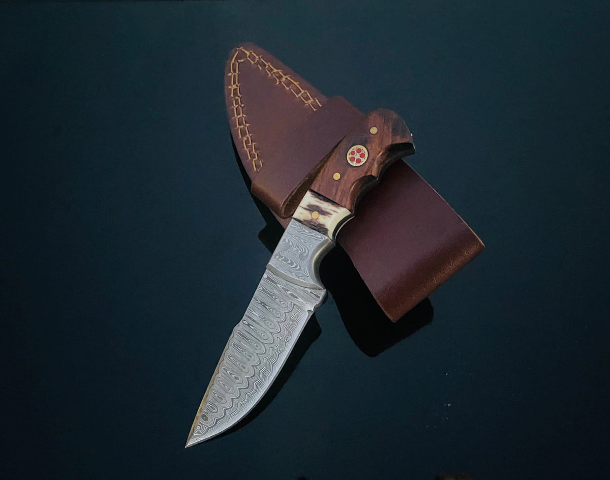 Damascus steel fixed blade hunting knife with walnut and stag-horn handle, leather sheath on Tampa Home & Garden Store