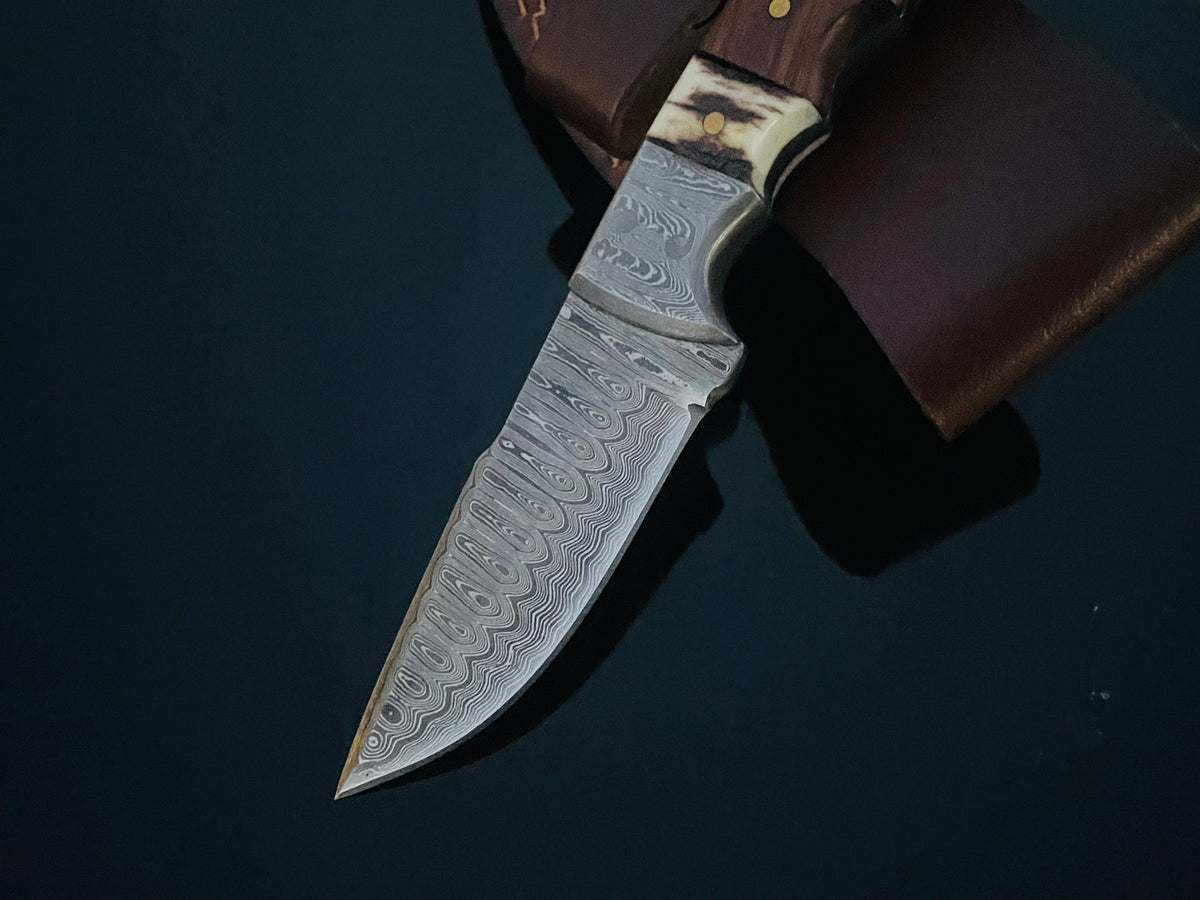 Damascus steel fixed-blade hunting knife with walnut and stag-horn handle Titan K on Tampa Home & Garden Store