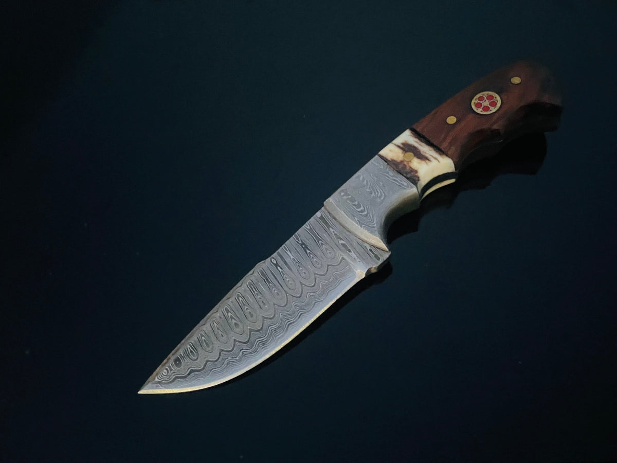 Damascus fixed-blade hunting knife walnut & stag-horn handle TD-159X Titan International K on Tampa Home & Garden Store