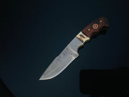 Damascus fixed blade knife with walnut and stag horn handle mini TD-159X by Titan K on Tampa Home & Garden Store