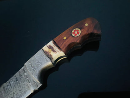 Damascus steel fixed blade hunting knife TD-159X with walnut stag-horn handle Titan Intl K on Tampa Home & Garden Store