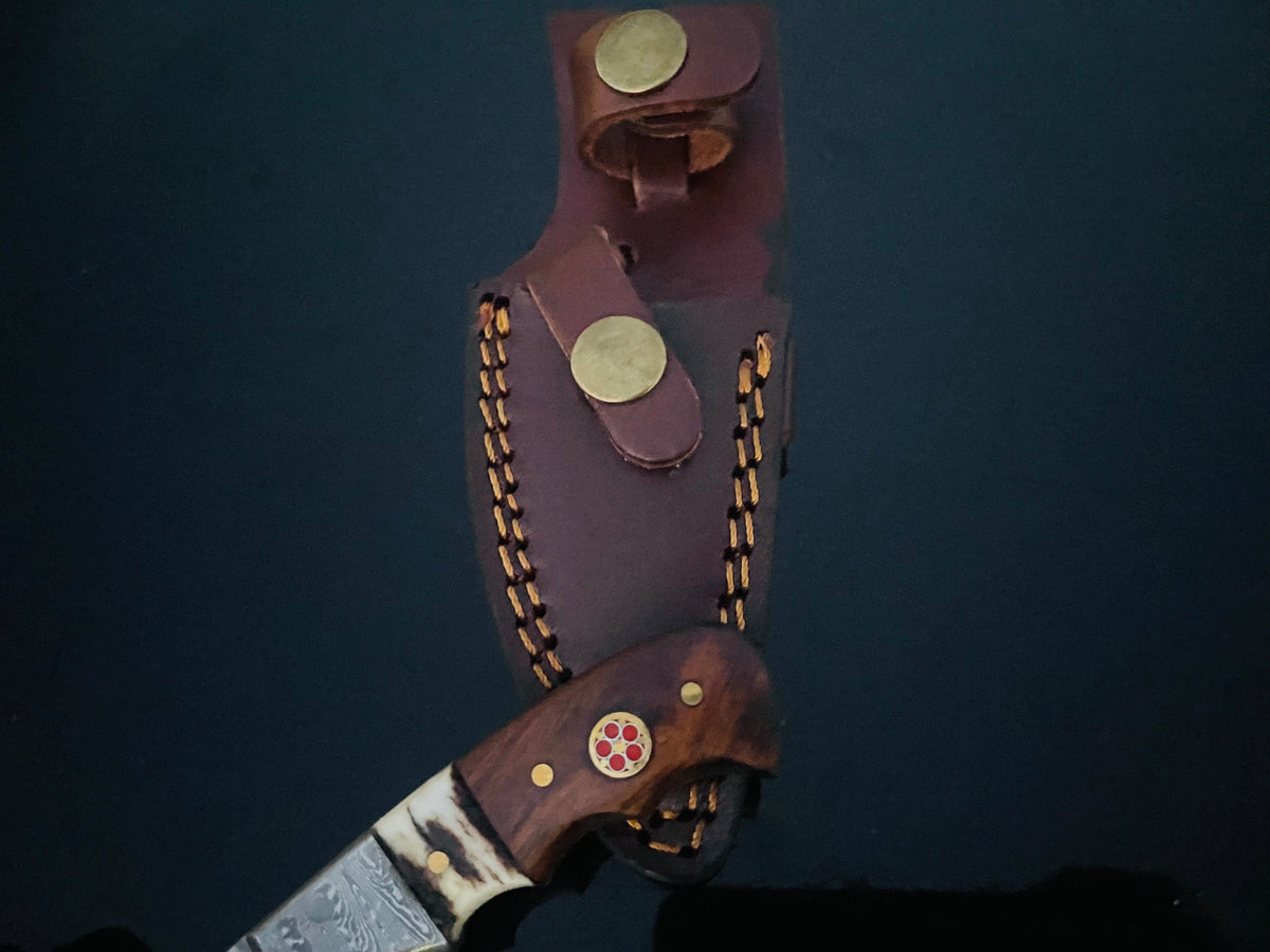 Damascus steel fixed blade hunting knife with walnut and stag horn handle in leather sheath on Tampa Home & Garden Store