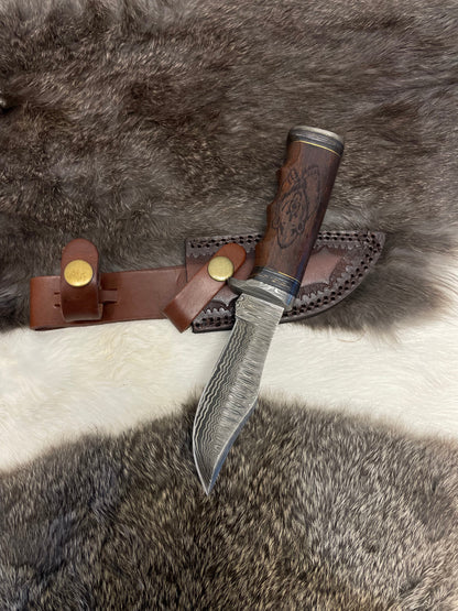 Grizzly Timberline Damascus Knife TK-099 compact with Damascus blade and wood handle on Tampa Home & Garden Store