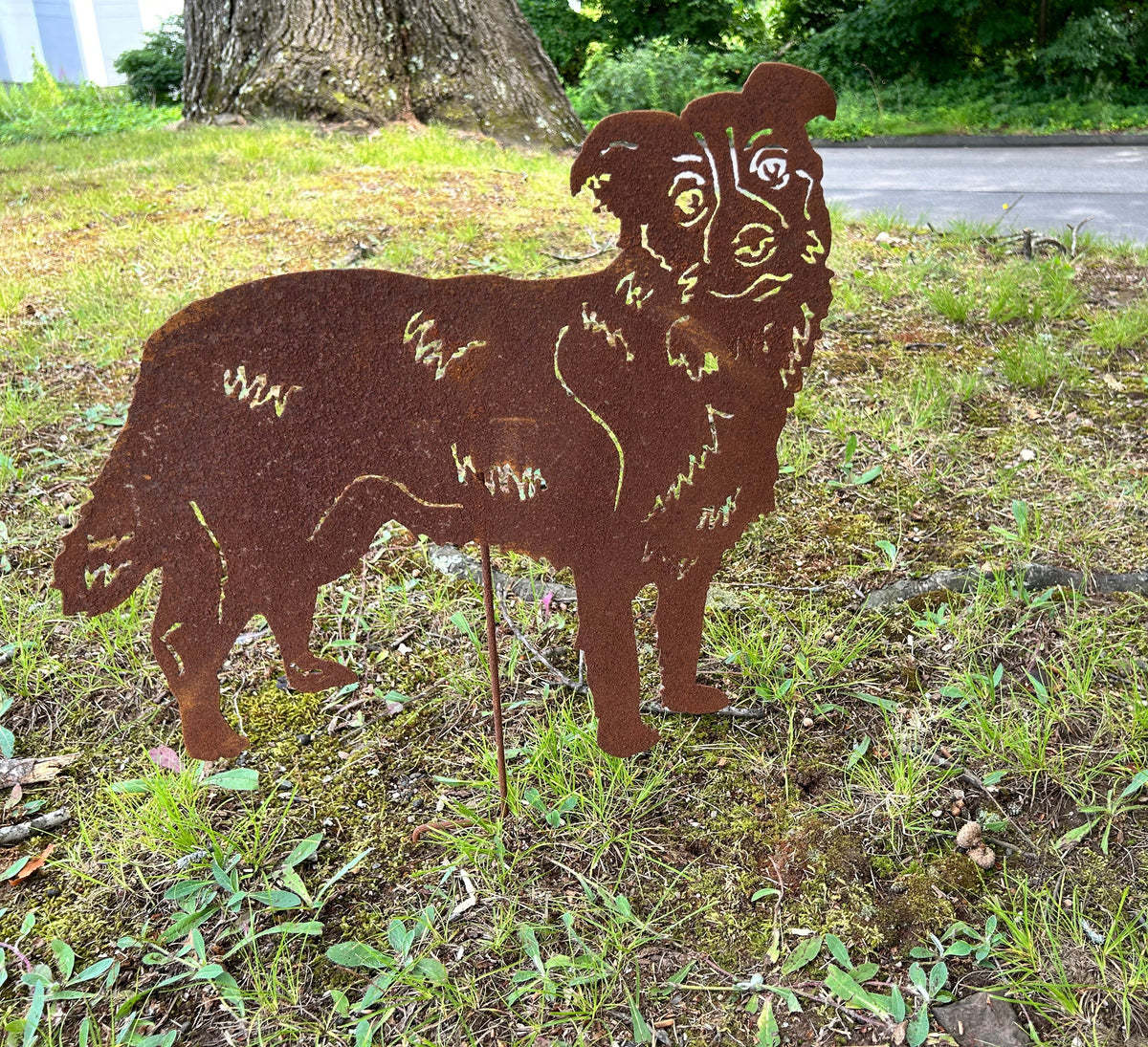 Border Collie rusted-metal garden statue cutout by Rustica Ornamentals lawn ornament sculpture on Tampa Home & Garden Store
