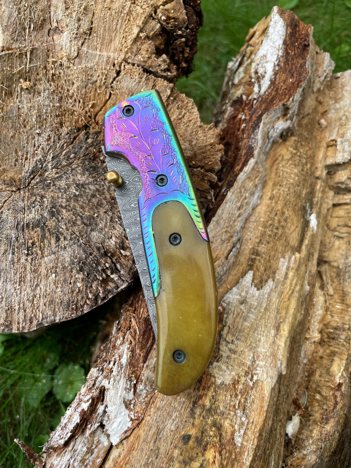 Damascus pocket knife Titan TF-015 with iridescent engraved bolster and leaf motif on Tampa Home & Garden Store