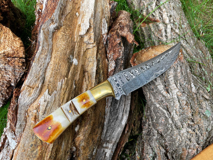 Damascus steel hunting knife blade with burnt bone and stag horn scales TK-015 on Tampa Home & Garden Store