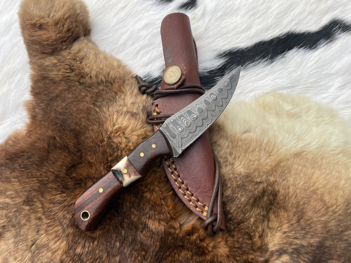 Titan TK-060 Damascus steel skinner knife with rosewood and stag grip, leather sheath on Tampa Home & Garden Store