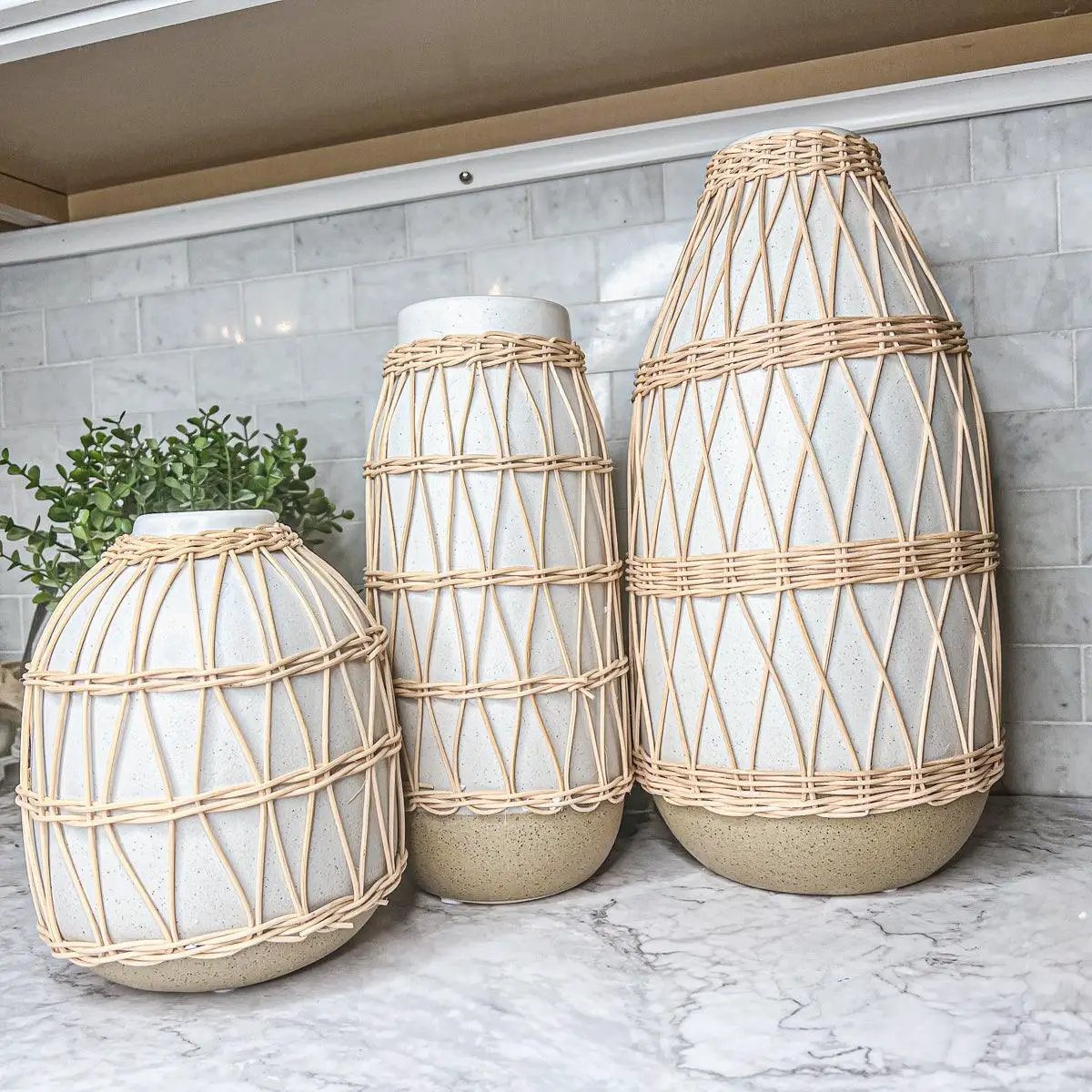 Madison Willow Vase Set for Home Decor and Style