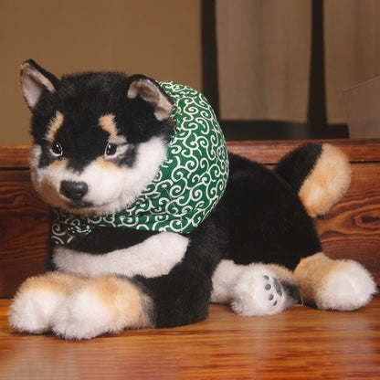 Black Shiba Inu Dog