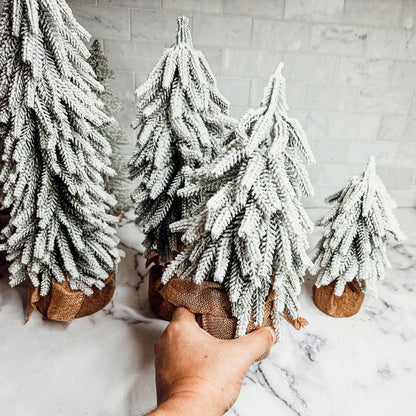 Sapins de Noël enneigés NOUVEAU
