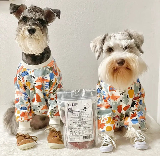 Raw Instincts Raw Turkey Meal Blend for Cats & Dogs in resealable pouch with two dogs on Tampa Home & Garden Store