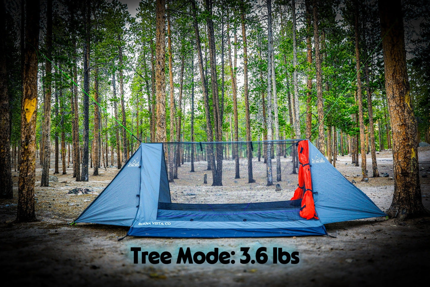 Sky View Duo Tent blue camping tent with mesh front walls set in a pine forest on Tampa Home & Garden Store