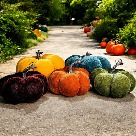 Gia Roma velvet pumpkins in orange, teal, yellow and green along a sunlit garden path on Tampa Home & Garden Store