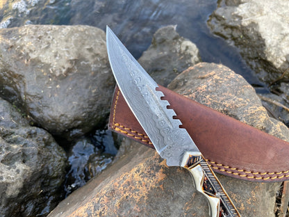 Damascus high-carbon hunting knife with serrated back and leather sheath TK-032 Titan Int'l K on Tampa Home & Garden Store