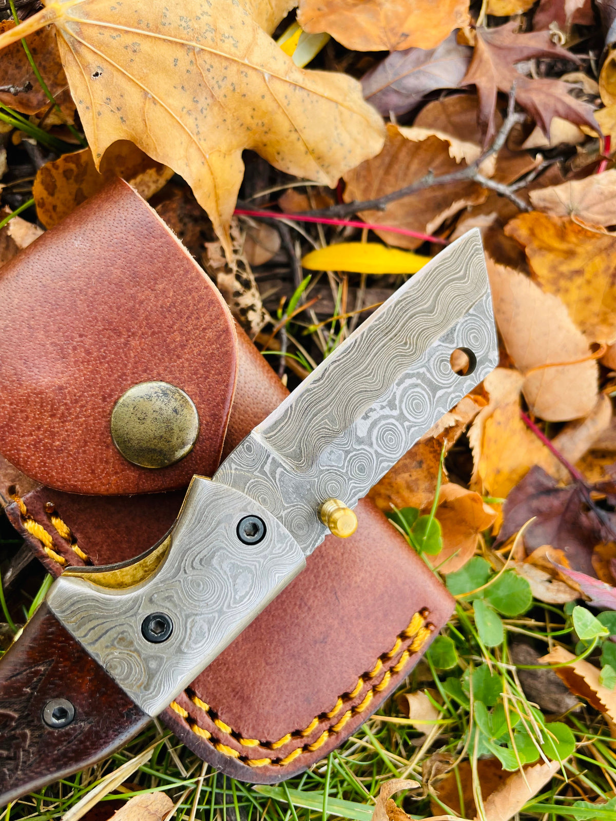Damascus steel folding knife TF083 wolf engraving, patterned blade by Titan Intl K on Tampa Home & Garden Store