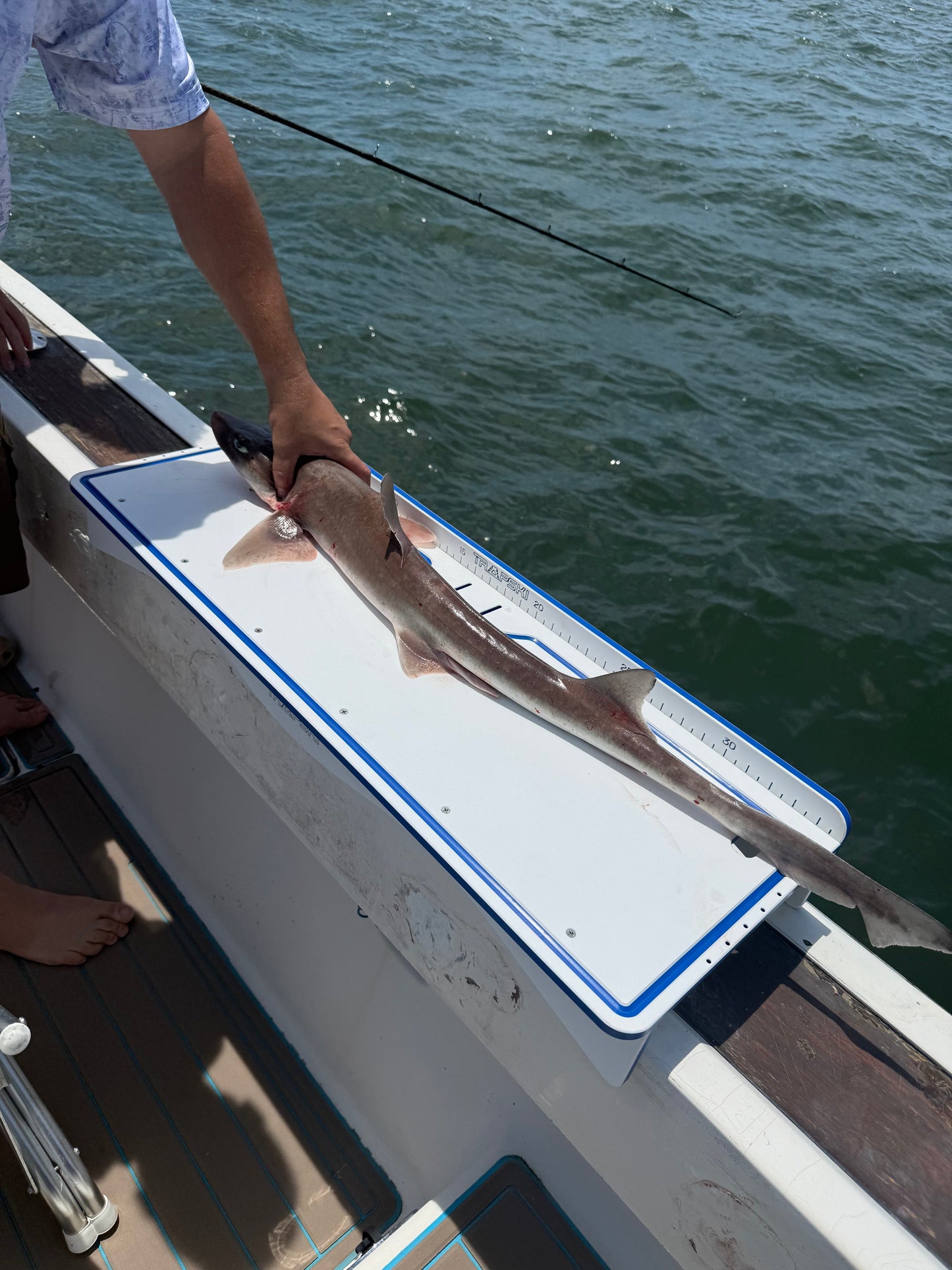 33" Fillet Table Top Cutting Board for 2 Buckets