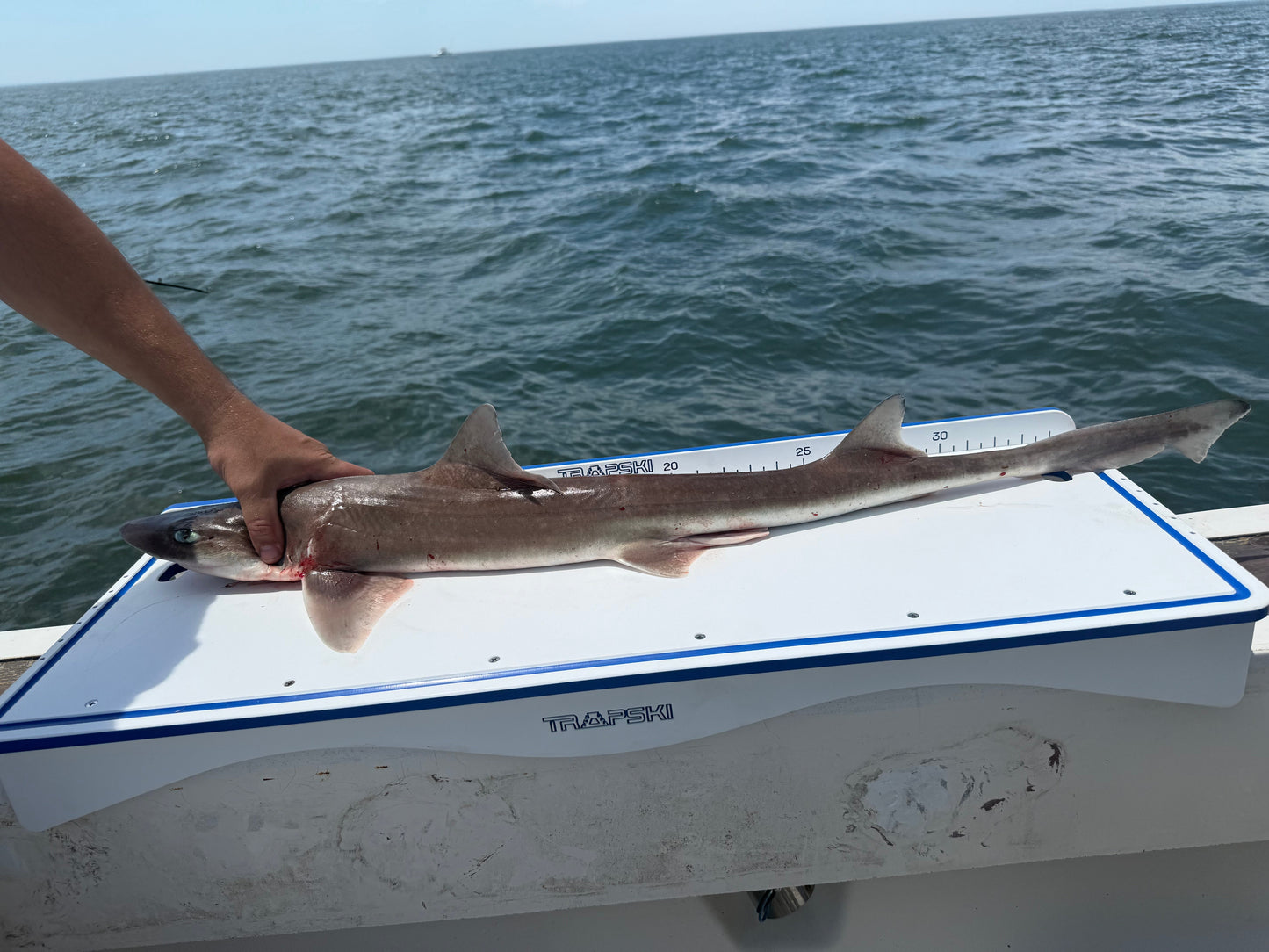 33" Fillet Table Top Cutting Board for 2 Buckets