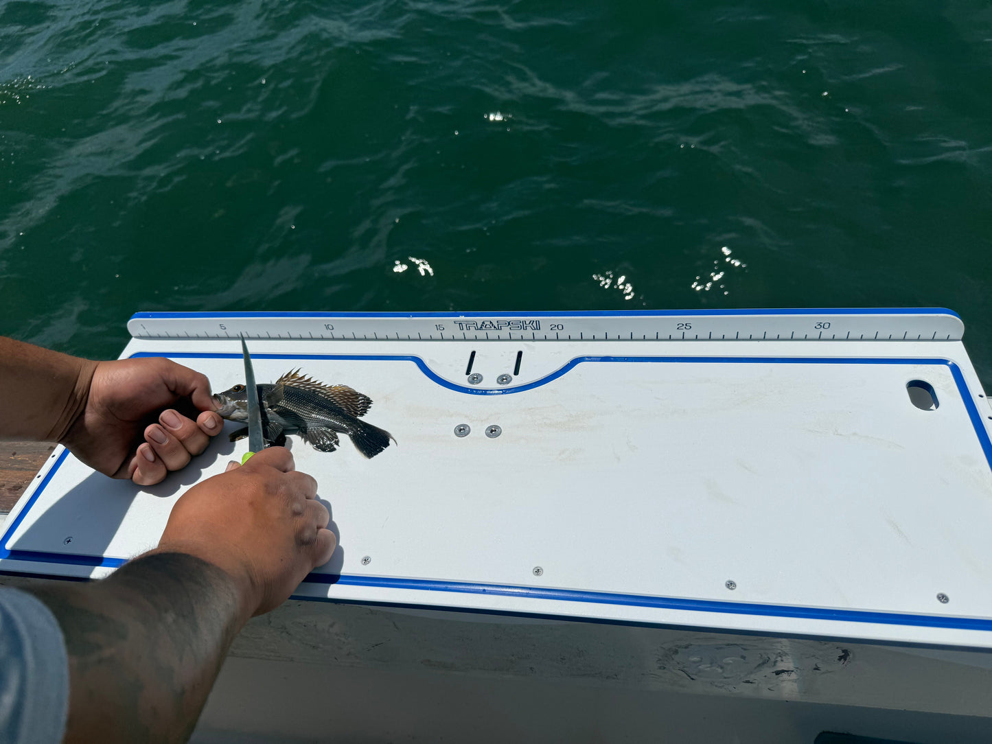 33" Fillet Table Top Cutting Board for 2 Buckets