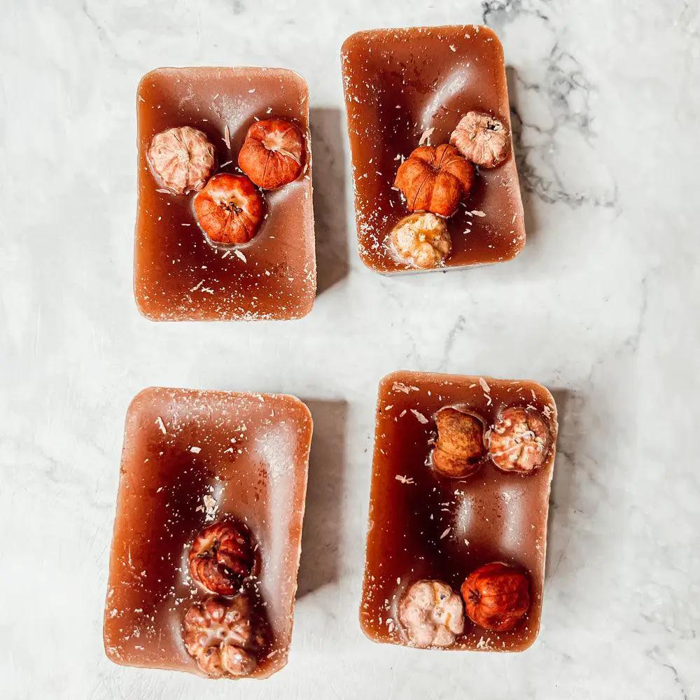 Autumn Pumpkin Pecan Waffles wax melts by Gia Roma, 4 brown wax tarts with pumpkins on Tampa Home & Garden Store
