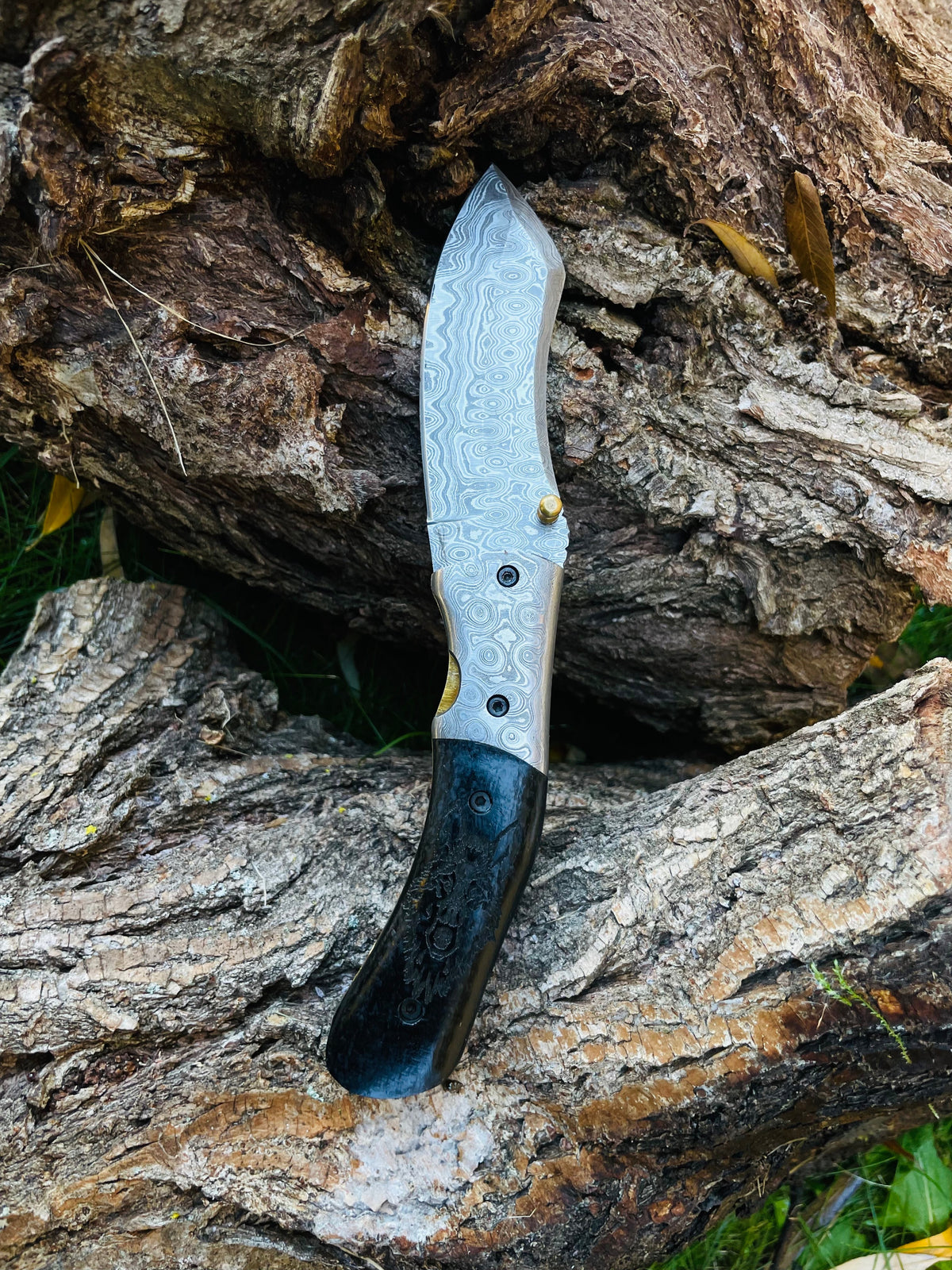 Damascus steel folding knife Wolf Engraved TF-084, patterned blade, brass accent, black handle on Tampa Home & Garden Store