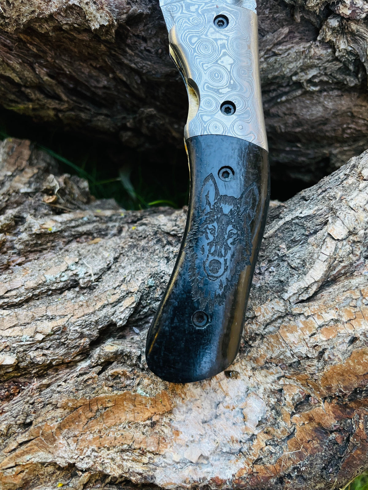Damascus steel folding knife TF-084 wolf-engraved handle, Titan International K sporting goods on Tampa Home & Garden Store