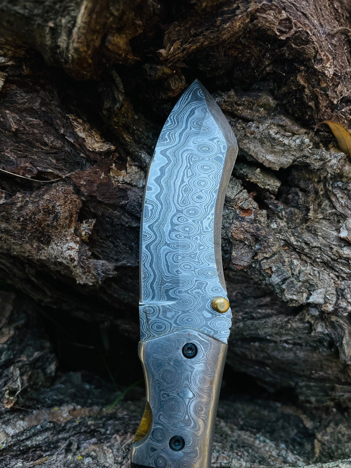 Damascus steel folding knife TF-084 with wolf engraving by Titan International K, damascus blade on Tampa Home & Garden Store