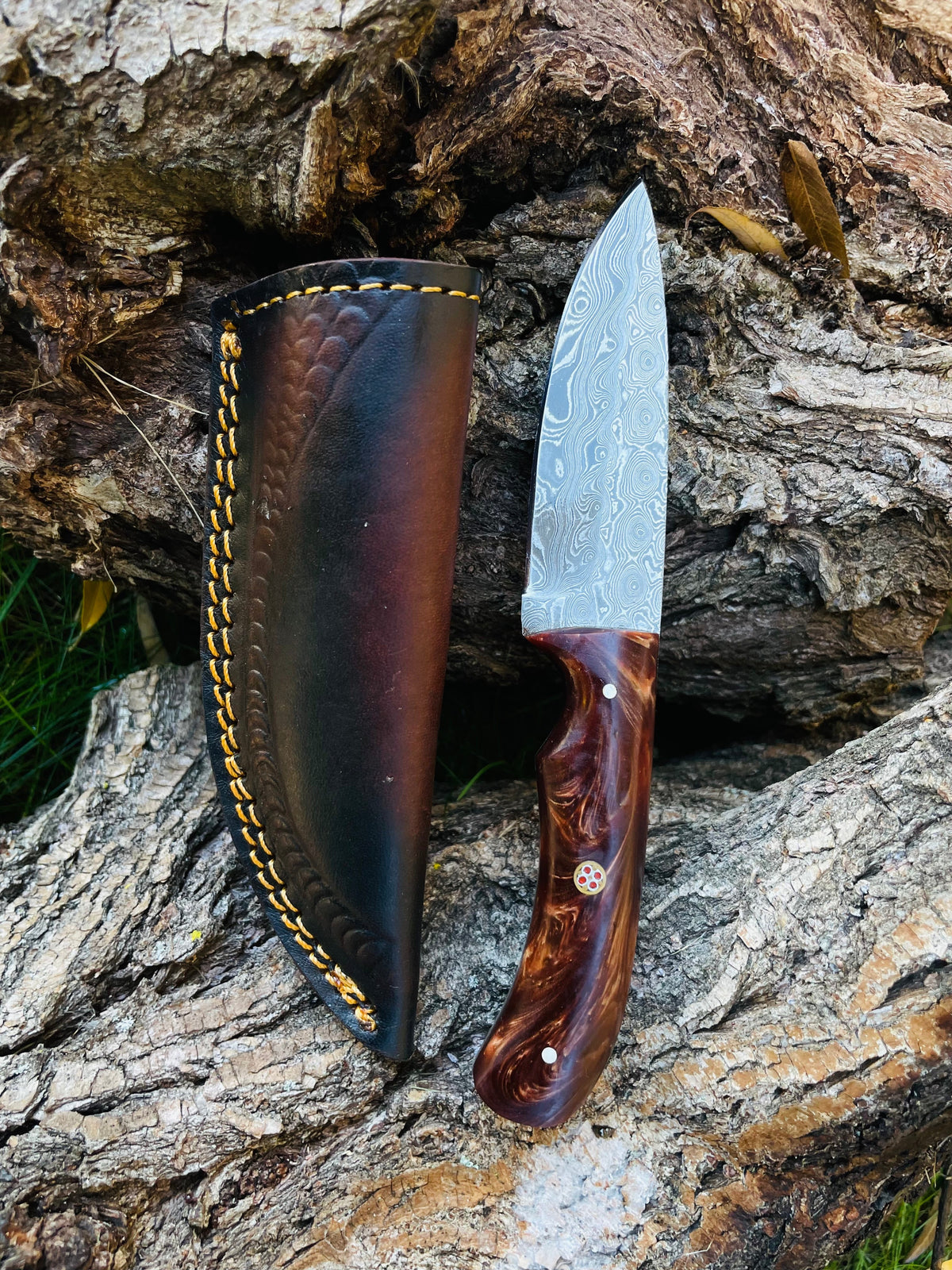 Damascus drop-point knife with acrylic scales and wood handle, Titan TK-053, leather sheath on Tampa Home & Garden Store