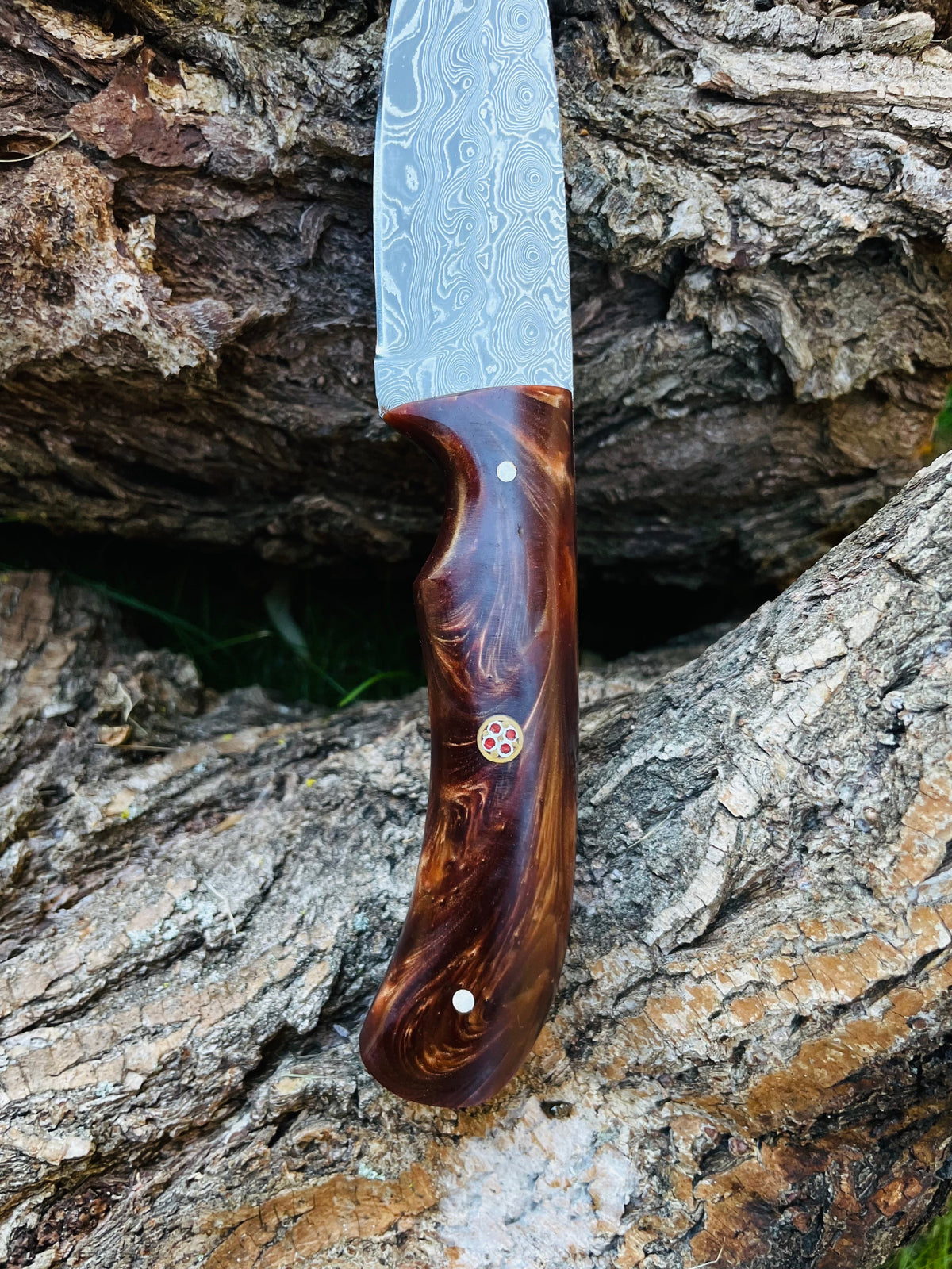 Damascus drop-style knife Titan TK-053 with acrylic scales on Tampa Home & Garden Store