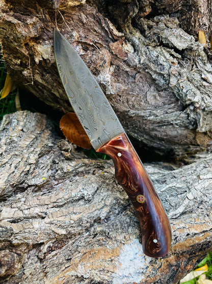 Hand forged Damascus knife with acrylic scales Titan TK-053, drop-point blade on Tampa Home & Garden Store