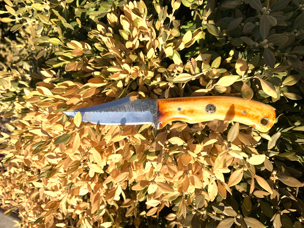 TC-59 carbon skinning knife with carbon steel blade and wooden grip Titan K on Tampa Home & Garden Store